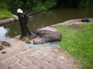 back to willington 001