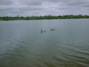 benets pit 3