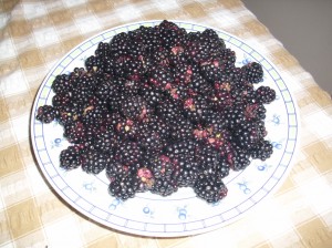 blackberries