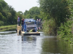 lavender boat