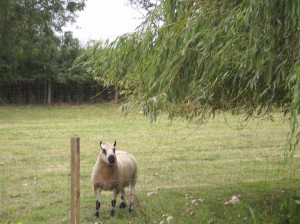 tuesday 16th august 015