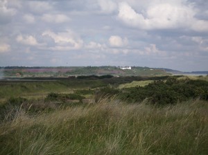 minsmere August 2011