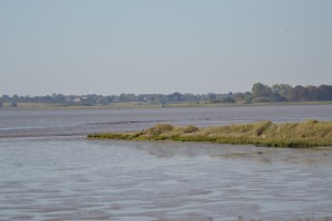 blog pic 1