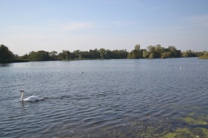 thorpness 021