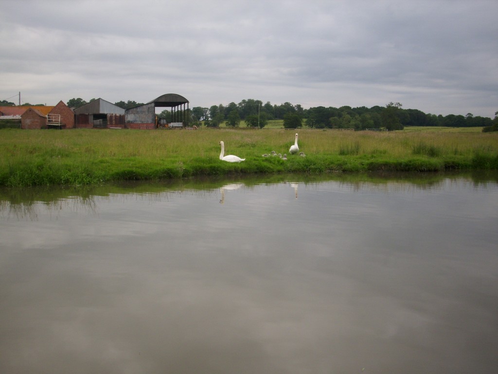 day 9 Hungerfield 008